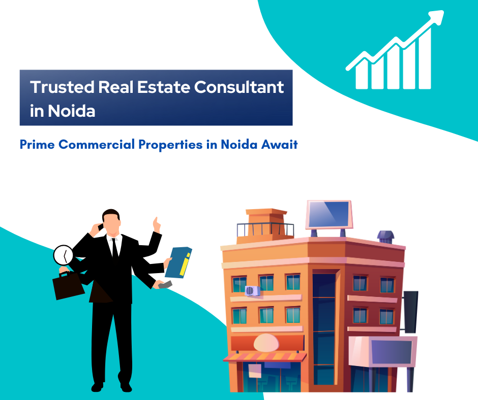 Real Estate Consultant in Noida